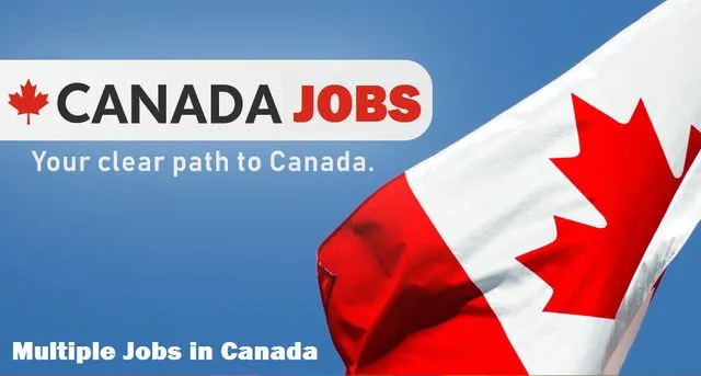 15 Jobs In Canada For International Workers