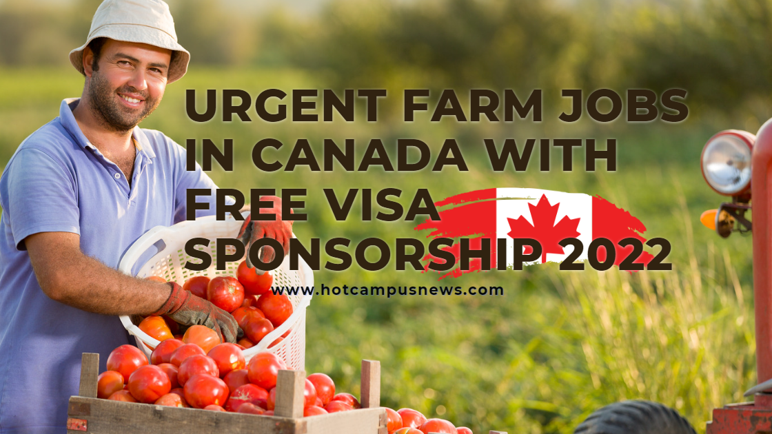 Urgent Farm Jobs In Canada With Free Visa Sponsorship 2022