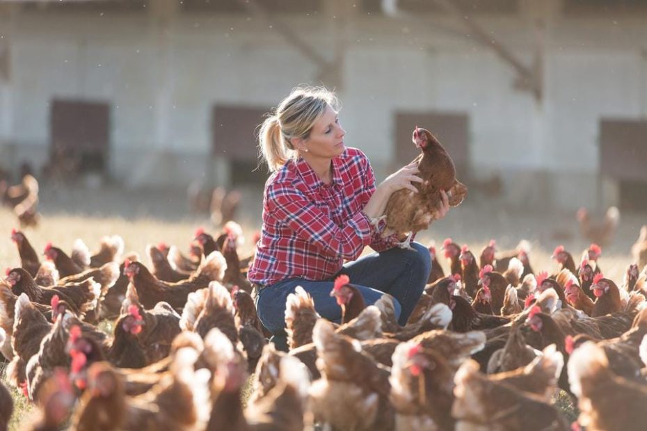 Poultry Farm Worker Jobs in USA With Visa Sponsorship